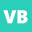 Viz Biz Design logo