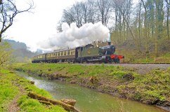 Dean Forest Railway logo