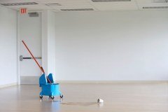 Kings Park Cleaning Services