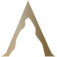 Professional Shop The logo