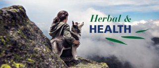 Herbal And Health Limited logo