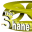 Shane Project The