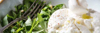 Moorlands Cheesemakers Limited