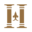 Charterhouse Standard logo