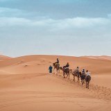 Macleod Kenneth Travel Limited