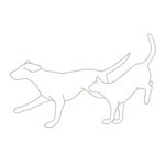 Lodge Veterinary Centre The
