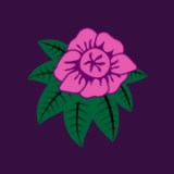 Coombe Hill Holdings (1946) Limited logo