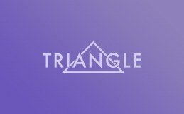 Triangle Corporate Services Limited logo