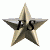 Future Star Services Limited logo