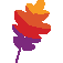 Apache Org logo