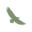Ah Warren Trust Limited logo