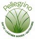 England Pellegrino Limited logo