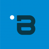 Blue Screen It Limited logo