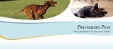 Privileged Pets logo