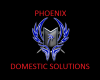 Phoenix Domestic Solutions logo
