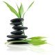 Reiki Healing & Training With Gabriella & Natalie logo