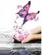 Elysian Spirit Health & Beauty logo