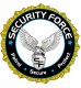 Security Force logo