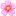 Poppies logo