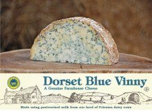The Dorset Blue Soup Co. logo