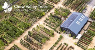 Chew Valley Trees Limited logo