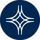 Orient-express Services Limited logo