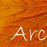 Arc Architects logo