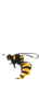 Wasp Advertising Limited logo