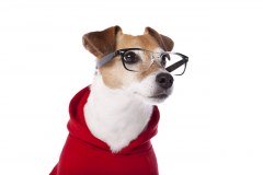 N And J Robinson Optometrists logo