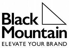 Black Mountain Ventures Limited logo