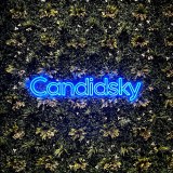 Candidsky logo