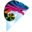 Chameleon Design Limited