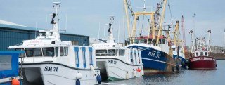 Brighton And Newhaven Fish Sales
