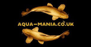 Aqua Mania logo