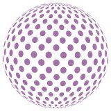 Seafast Logistics Plc logo