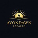 Avondown Systems Limited logo