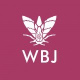 Wbj Limited