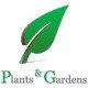 Graham Lawlor Plants & Gardens logo