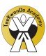 Taekwondo Academy logo