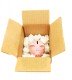 Camdentown Removals (Camden)