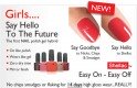 Shellac By Ashley logo
