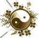 China-Clinic logo