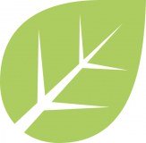 Treatex logo