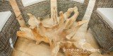 Sustainable Furniture logo