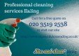Nice And Clean Ealing