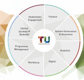 Nhs Transformation Unit