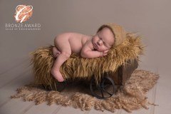 Dora Horvath Photography