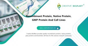 Creative Biomart logo