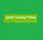 Carpet Cleaning Putney logo