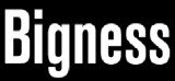 Bigness Construction Group